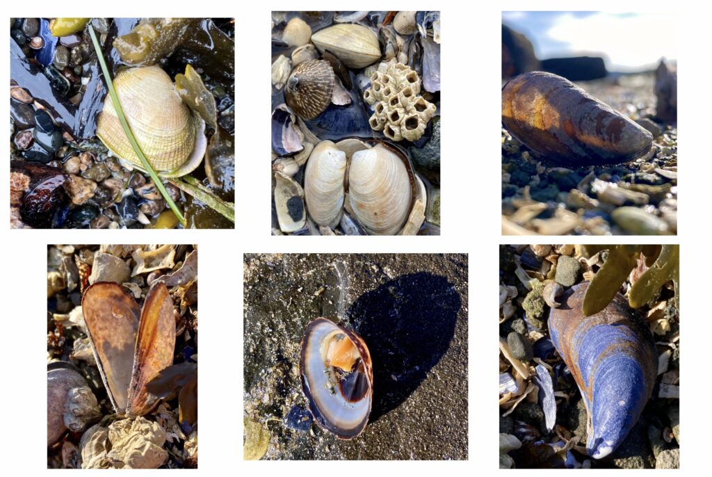 Terrill Welch by herself - issue #36 Quiet Drama in a Live-Work Space