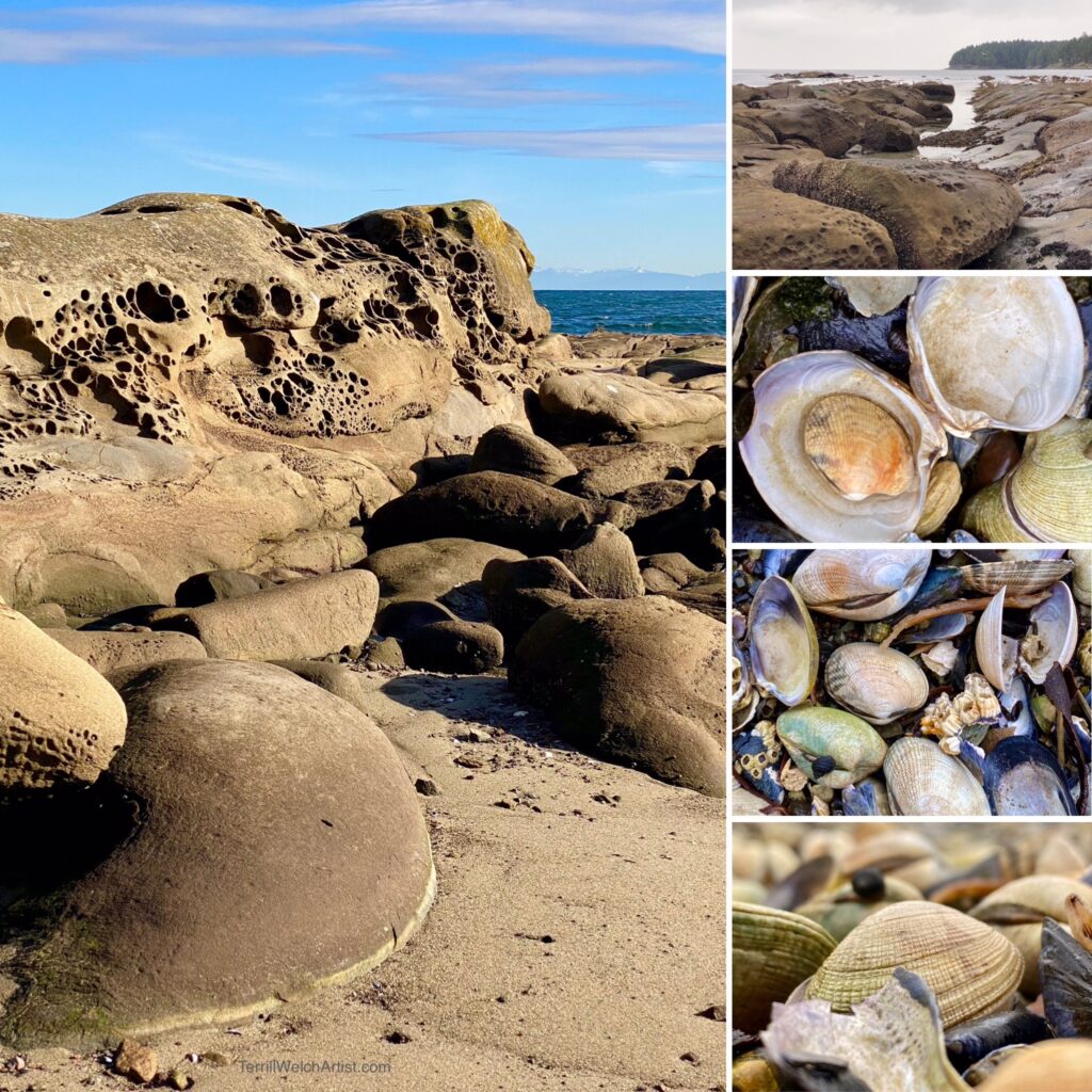 Terrill Welch by herself - issue #36 Quiet Drama in a Live-Work Space